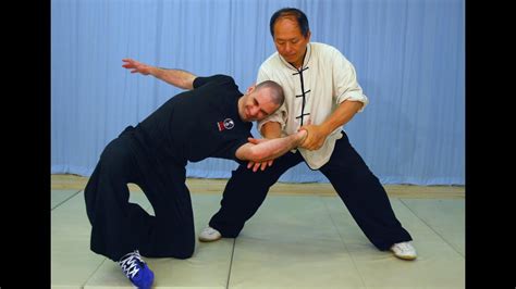 Tai Chi Fighting! Taijiquan Martial Applications (Yang-style 37 ...