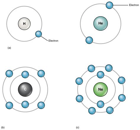 Elements and Atoms: The Building Blocks of Matter | Anatomy and ...