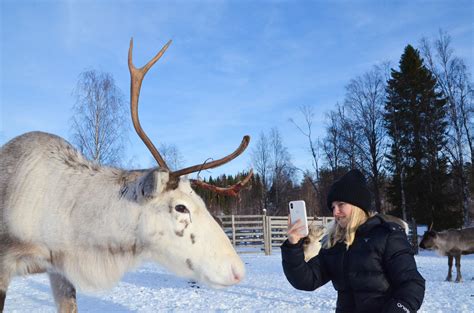 Pin on Lapland