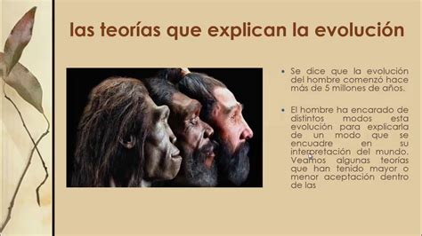 biología evolutiva - YouTube