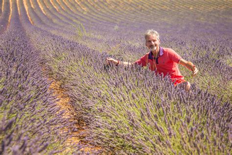 Provence Lavender Tours