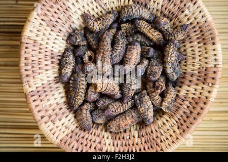 Handwoven bowl of Edible Mopane worms (Gonimbrasia belina) in Stock ...