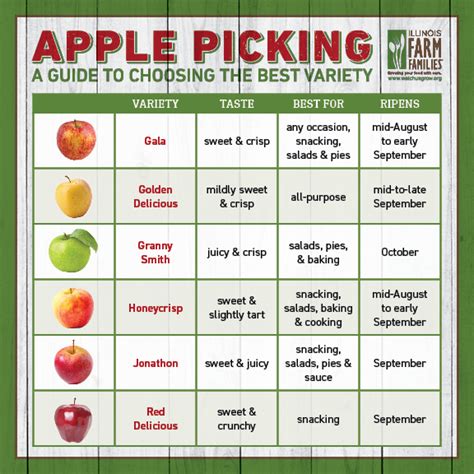 Apple Varieties Chart