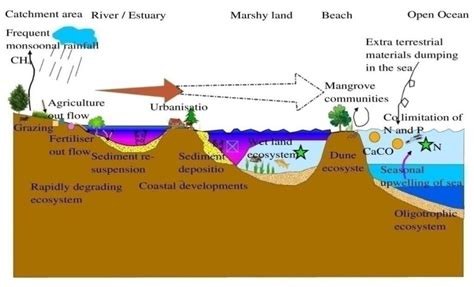 Coastal landforms and their different types of processes, biological... | Download Scientific ...