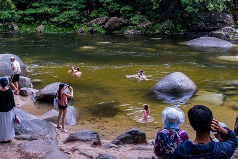 Visit the Waterfall in Mossman Gorge, Daintree Rainforest