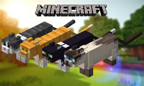 How to Tame a Cat in Minecraft - The Tech Edvocate