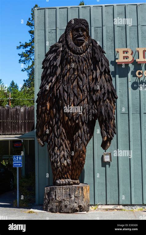 Carving of Bigfoot outside the Bigfoot Museum in Willow Creek, Northern California, USA Stock ...