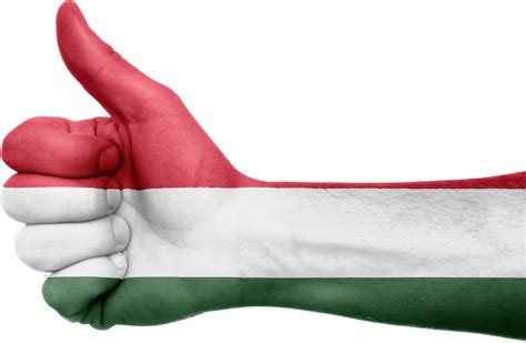 Mini language lesson #13 – Hungarian proverbs, sayings - Daily News Hungary