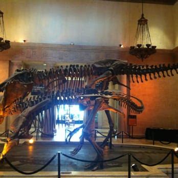 Dinosaur Museum - 58 Photos & 11 Reviews - Museums - 900 Exposition ...