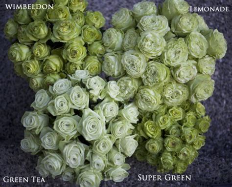 The Green Rose Study | Flirty Fleurs The Florist Blog - Inspiration for ...