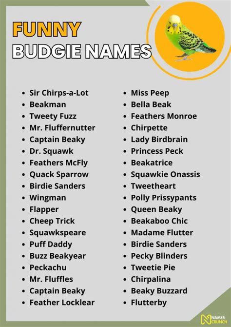 490+ Cute & Funny Budgie Names - Names Crunch