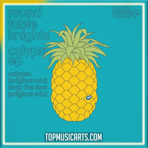 Round Table Knights - Calypso Ableton Remake (Tech House) – Top Music Arts
