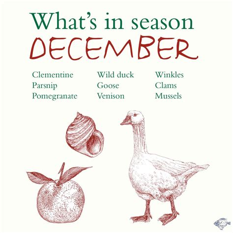 What's in season, December, www.rickstein.com | Food infographic, Whats ...