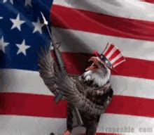 American Flag Eagle GIFs | Tenor