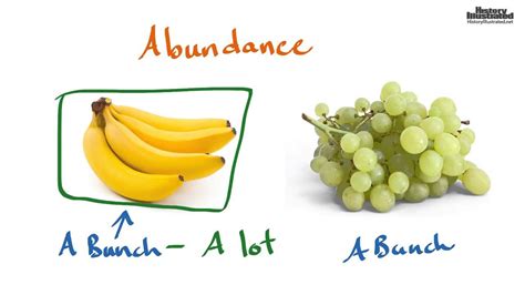 Abundance Definition for Kids - YouTube