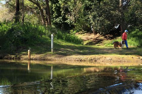 Preston River Loop and Indigenous Walk Trail and Waugyl Sculpture in Donnybrook - Trails WA