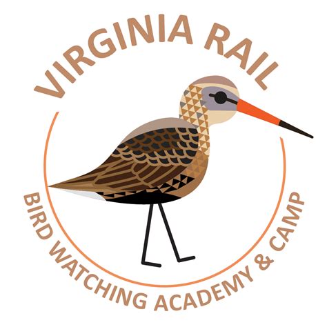 Virginia Rail - Bird Watching Academy