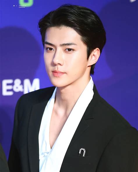 Most Handsome K-Pop Male Idols | EXO | Sehun (Oh Se Hun) *** kpop, K ...