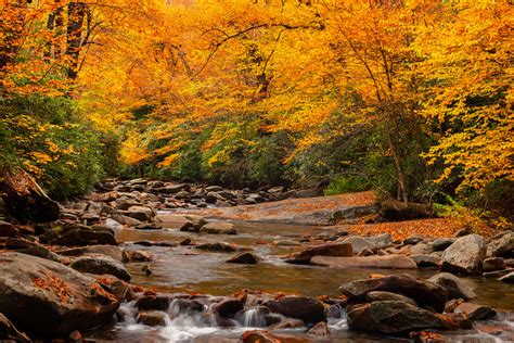 Fall Color Over Stream Smoky Mountains Fine Art Photo Print | Photos by Joseph C. Filer