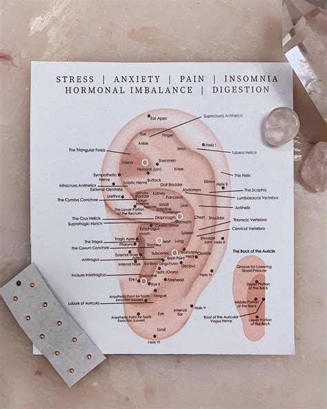 Printable Ear Seed Placement Chart