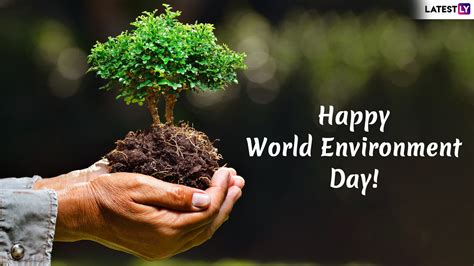 Happy World Environment Day 2021 Quotes and WED Wishes: WhatsApp Stickers, Slogans, GIF Images ...