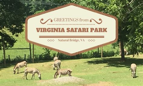 Virginia Drive Thru Safari Park