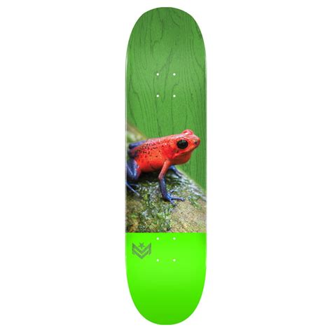 Poison Tree Frog Skateboard Deck | Salty Peaks Snowboard Shop