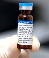 Tuberculosis Vaccine - Medical Advances During the Industrial Revolution