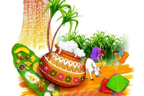 THAI PONGAL DAY - Satipatthana