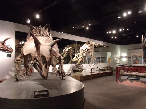 16 Best Dinosaur Exhibits In America 2022