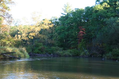 pere-marquette-river – On The Fly Guide Service