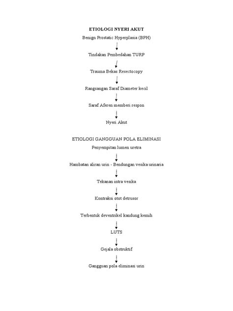 TINDAKAN BEDAH DAN PENYEBAB NYERI AKUT PADA PASIEN BPH | PDF