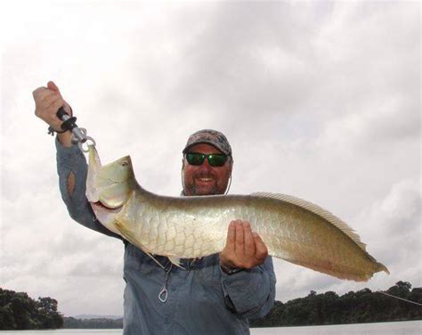 Arowana - Amazon Game Fishing Guide | Amazon-Angler