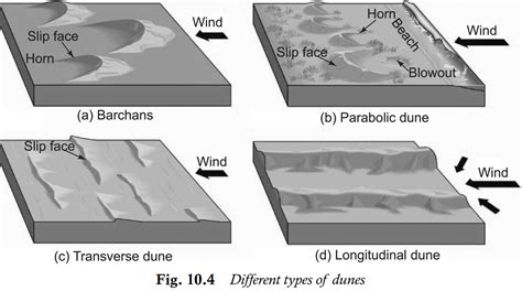 Types Of Sand Dunes | Importance - Civil learners