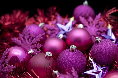 Free Stock Photo 6825 Purple Christmas celebration | freeimageslive