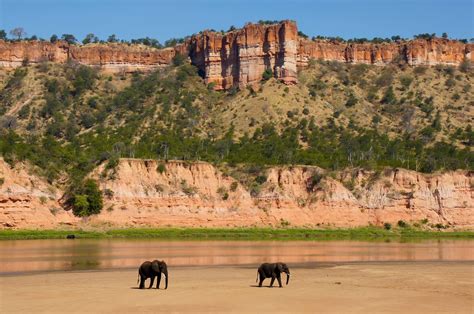 Gonarezhou National Park | Gonarezhou Conservation Trust