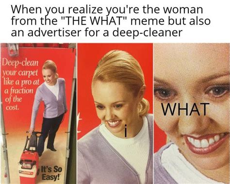 The What Advertisement Meme Meta | The What / Rug Doctor Woman Ad ...