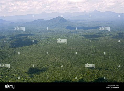 Aerial view of the Amazon forest in the Pico da Neblina National Park - the highest point in ...