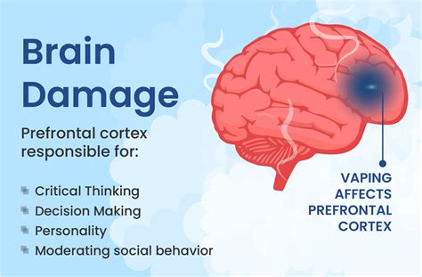 Nicotine Effects On Brain