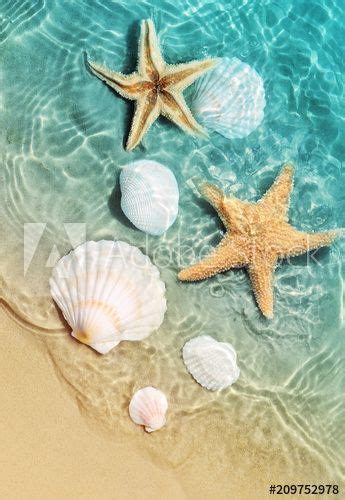 Beach Seashells Wallpaper