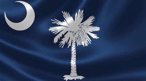 New South Carolina flag design heads back to drawing board | WBTW