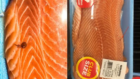 Sea louse found in packaged salmon from North Vancouver store | CTV News