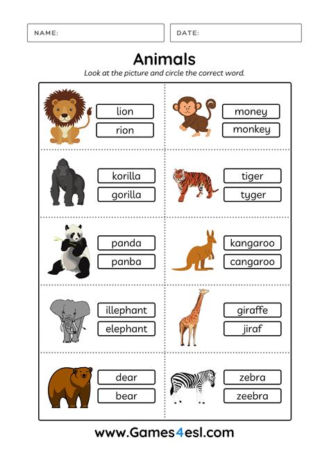 Animal Names Worksheets - WorksheetsCity