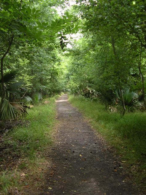 Images - Barataria Preserve - Jean Lafitte National Historical Park and ...