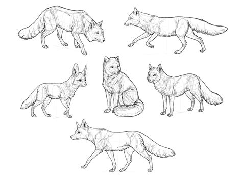 Sitting Fox Drawing at GetDrawings | Free download