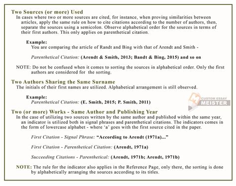 APA Citation Style Guide | CustomEssayMeister.com