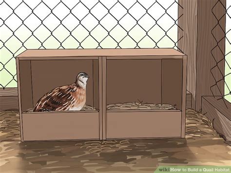 How to Build a Quail Habitat (with Pictures) - wikiHow