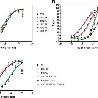 Modeling the effects of Ser127 and Asp374 mutations on PCSK9 structure.... | Download Scientific ...