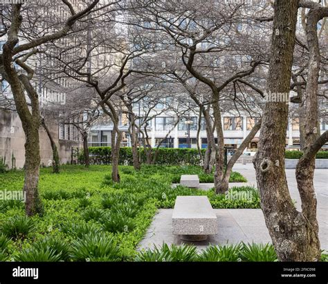 Art Institute of Chicago South Garden designed by Dan Kiley Stock Photo - Alamy