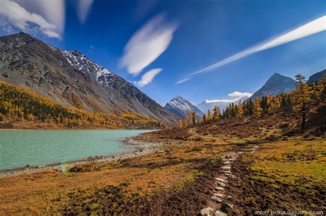 Golden Autumn in the Altai Mountains · Russia Travel Blog